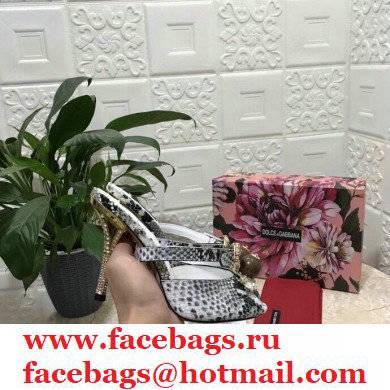 Dolce  &  Gabbana Crystal Heel 10.5cm Python Mules Gray 2021
